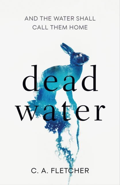 Dead Water : A novel of folk horror