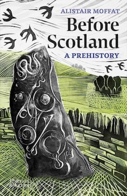 Before Scotland : A Prehistory