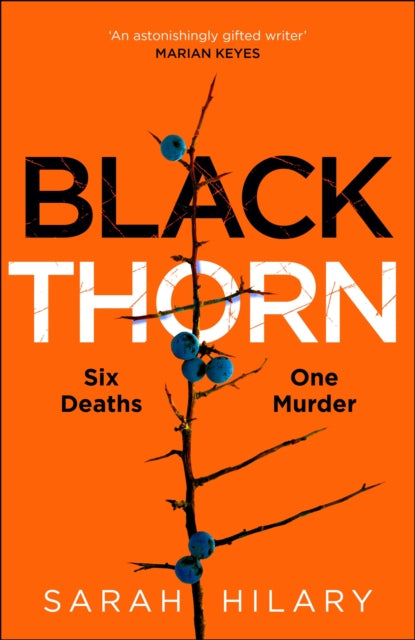 Black Thorn : A haunting and captivating multi-layered thriller about families and their secrets and lies