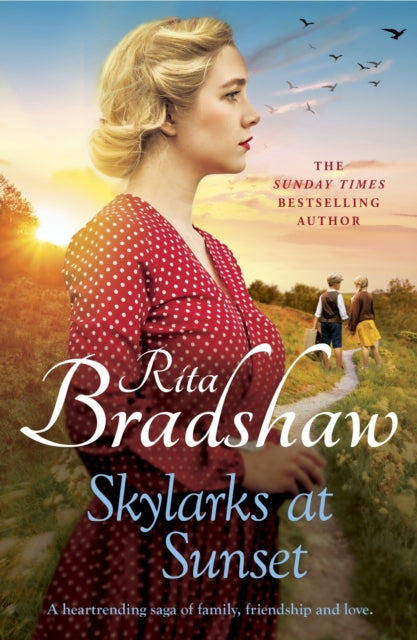 Skylarks At Sunset : An unforgettable saga of love, family and hope