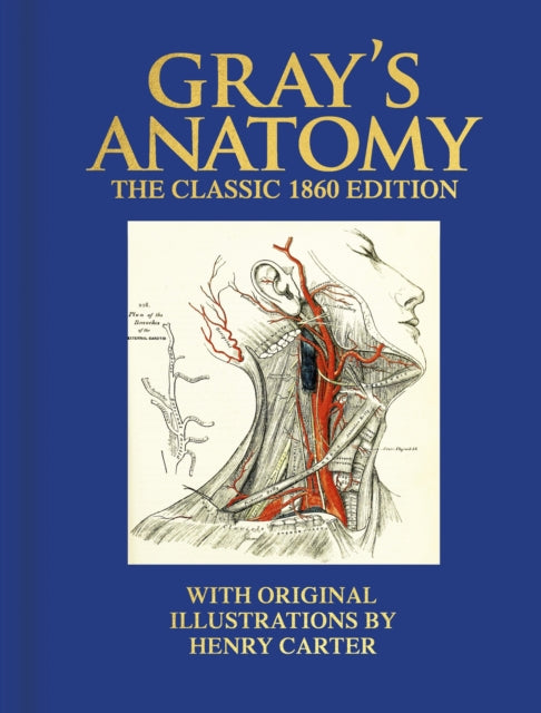 Gray's Anatomy : The Classic 1860 Edition with Original Illustrations by Henry Carter
