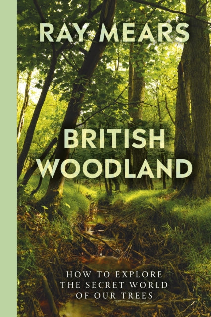 British Woodland : How to explore the secret world of our forests