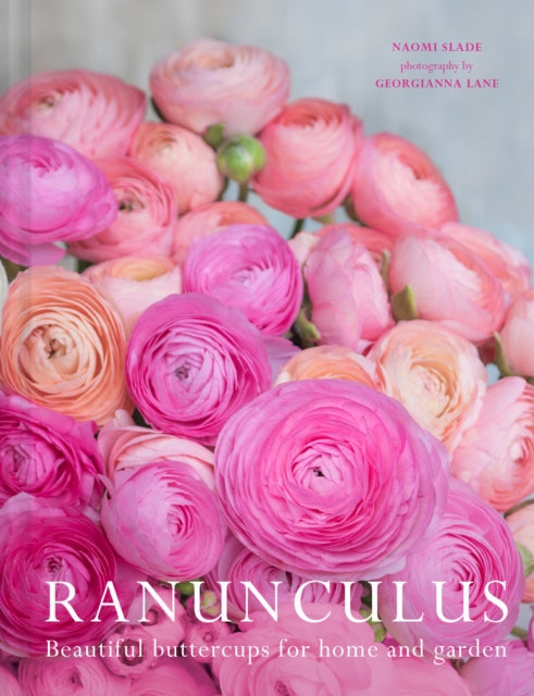 Ranunculus : Beautiful Buttercups for Home and Garden